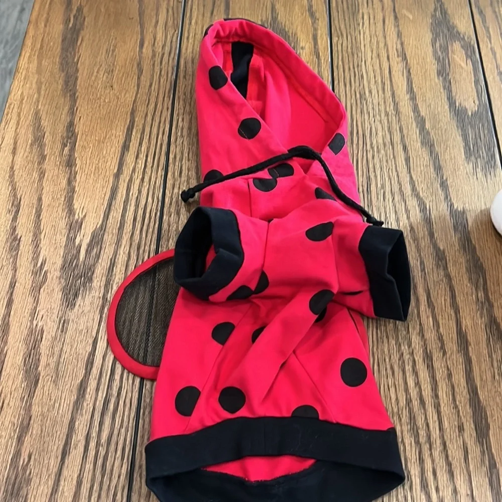 Red  and black butterfly costume 🐶💙